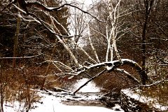 photo 0237